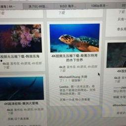 4k视频迅雷,迅雷助力畅享极致视听盛宴